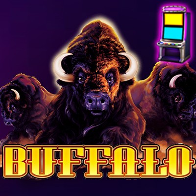 BUFFALO RTP