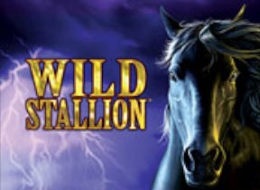 Wild Stallion RTP