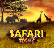 SAFARI HEAT RTP